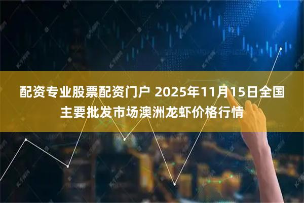 配资专业股票配资门户 2025年11月15日全国主要批发市场澳洲龙虾价格行情