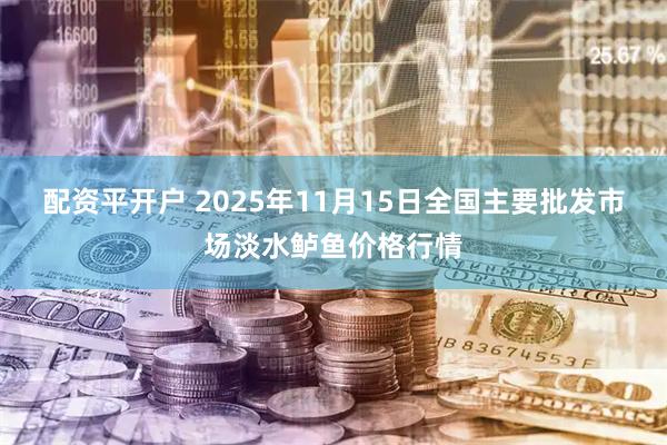 配资平开户 2025年11月15日全国主要批发市场淡水鲈鱼价格行情